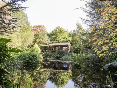 A wooden cabin surrounded by trees and vegetation reflected in a pond at The Log Cabin in Oban