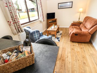 A living room with a brown sofa a blue plaid armchair a wooden coffee table with mugs a lamp side table a TV on a wooden cabinet and a basket with snacks and wine on a black countertop at Primrose Lodge in Saltburn-by-the-Sea