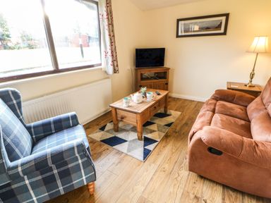 A living room with a brown sofa a blue plaid armchair a wooden coffee table and a small TV on a wooden stand at Primrose Lodge in Saltburn-by-the-Sea