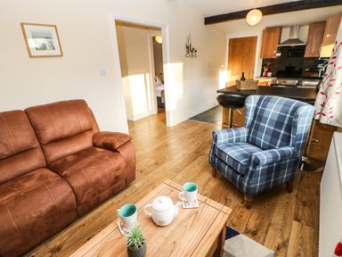 A living room with a brown sofa and a blue plaid armchair next to a wooden coffee table with mugs and a teapot at Primrose Lodge in Saltburn-by-the-Sea