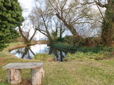 A wooden bench by a small pond with large trees and plants at Primrose Lodge in Saltburn-by-the-Sea
