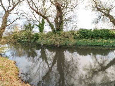 A river with trees and bushes along the bank at Primrose Lodge in Saltburn-by-the-Sea