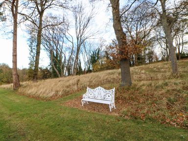 A white metal bench on grass near trees with dry grass and leaves at Primrose Lodge in Saltburn-by-the-Sea