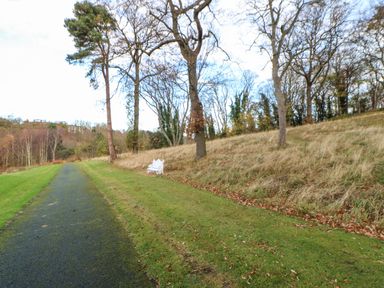 A paved pathway next to grass and trees with a white bench at Primrose Lodge in Saltburn-by-the-Sea