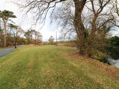 A grassy area with a large tree near a body of water and a road with street lamps in a rural setting at Primrose Lodge in Saltburn-by-the-Sea
