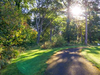 A path through trees and grass at Primrose Lodge Saltburn-by-the-Sea