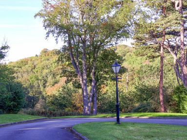 A park area with trees and a lamp post at Primrose Lodge in Saltburn-by-the-Sea