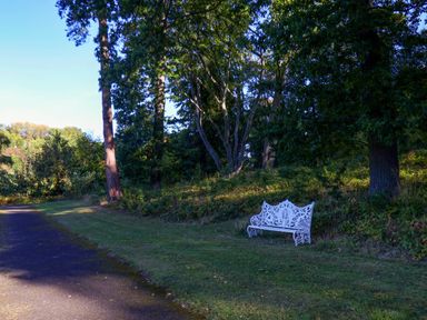A bench beside a pathway surrounded by trees at Primrose Lodge in Saltburn-by-the-Sea