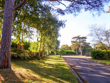 An outdoor view with trees and a road at Primrose Lodge Saltburn-by-the-Sea