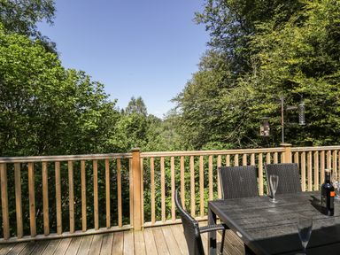 A wooden deck with a black table and chairs surrounded by trees with bird feeders at Striding Edge White Cross Bay near Troutbeck Bridge
