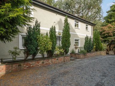 Exterior of a two story house with white walls and windows surrounded by trees and plants at Eden House Bardsea