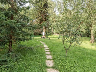 A garden with a stone path a small tree and animals grazing at Eden House in Bardsea