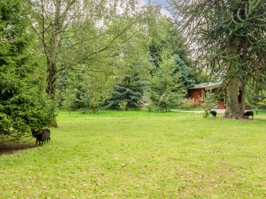 A fenced grassy area with trees and black sheep near a wooden building at Eden House in Bardsea