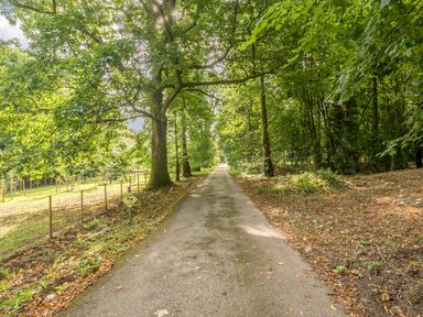 A paved pathway through a wooded area with trees on both sides at Eden House in Bardsea