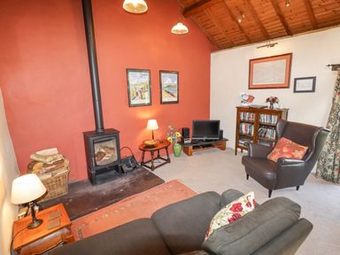 A living room with a wood burning stove a basket of firewood a gray sofa a brown armchair a wooden cabinet with DVDs and a TV on a wooden stand at The Shippon in Llechwedd The Conwy Valley