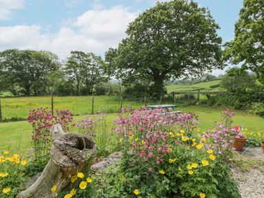 A garden with flowers a wooden stump a fence and trees in the background at The Shippon in Llechwedd The Conwy Valley