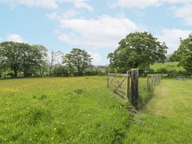 A green field with yellow flowers a wooden gate and trees under a blue sky at The Shippon in Llechwedd The Conwy Valley