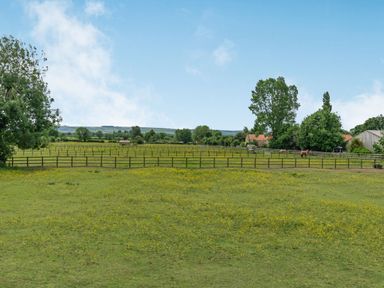 A fenced grassy field with yellow flowers horses trees and houses in the background at Upstairs Downstairs Cottage in Snainton near Scarborough