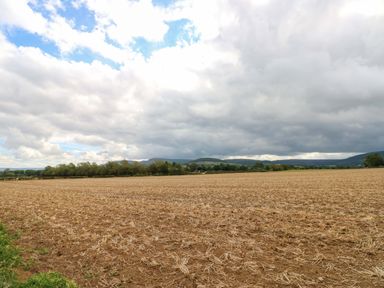 A field with trees and hills under a cloudy sky at Cooper Cottage in Potto near Stokesley