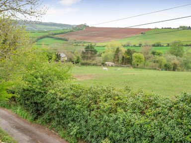 A rural landscape with green fields horses and trees at Hillside Cottage in Peasedown St John near Bath