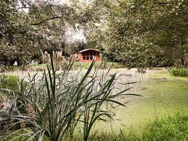 A small wooden cabin near a pond surrounded by trees and tall grasses at High Park Barn in Uffculme Blackdown Hills