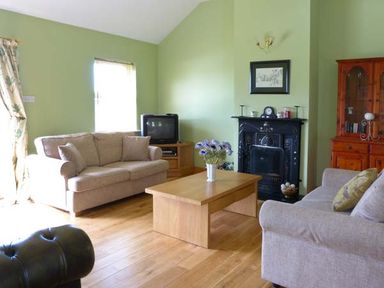 A living room with two beige sofas a coffee table with flowers an old television a black fireplace and a wooden cabinet at The Bay in Caherdaniel County Kerry