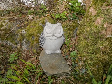A stone owl statue on a flat rock surrounded by green plants and mossy rocks at Mary Kates Cottage in Narin County Donegal