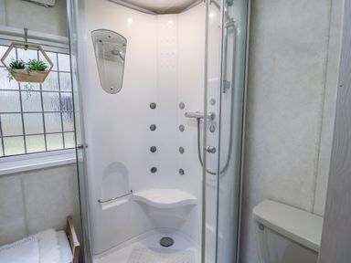 A bathroom with a shower and toilet at The Lodge in Old Buckenham near Attleborough