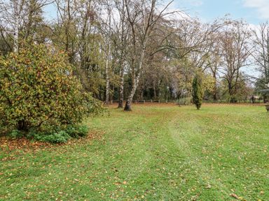 A garden with grass, trees and bushes at The Lodge in Old Buckenham near Attleborough