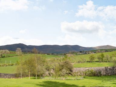 Green fields with trees and stone walls with hills in the background at Moresdale Bank Cottage in Lambrigg near Sedbergh and Kendal