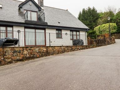 A house with stone wall and metal railing next to a paved road surrounded by trees at Lodge 22 Cherry in Wadebridge