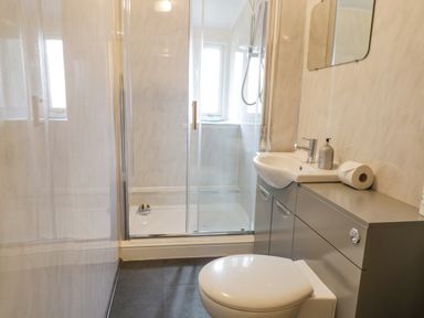 A bathroom with a toilet a sink with a cabinet a wall-mounted mirror a shower with glass doors and tiled walls at Gwelfor in Morfa Bychan