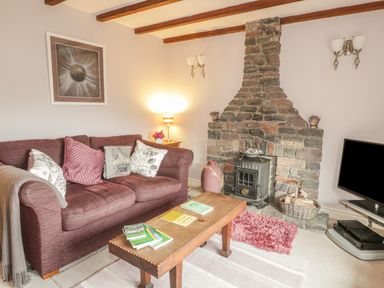 A living room with a brown couch and cushions a wooden coffee table books a stone fireplace a television and a lamp at Lynton House in Ruardean Hill near Drybrook