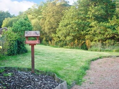 A wooden bird feeder on a post in a garden with green grass and trees at Hartam House in Falstone near Kielder and Bellingham