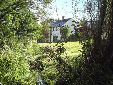 A white house with a chimney surrounded by grass and trees at Hartam House in Falstone near Kielder and Bellingham