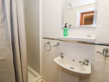 A bathroom with a shower area and a white sink with a soap dispenser at Ddol Helyg Farmhouse Llanrug