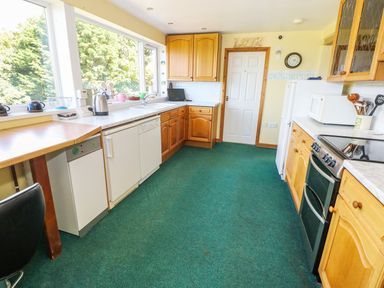 A kitchen with wooden cabinets a white door and green carpet at Morfa Isaf Cottage in Llangrannog