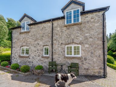 A stone house with white framed windows two green chairs and a table outside with a black and white dog at Distyll in Llanfwrog near Ruthin
