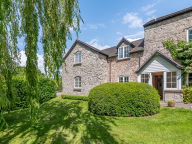 A stone house with windows surrounded by a lawn and bushes with a tree hanging in front at Distyll in Llanfwrog near Ruthin