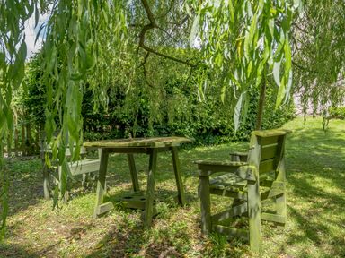An outdoor area with two wooden chairs and a wooden table under hanging tree branches at Distyll Llanfwrog near Ruthin
