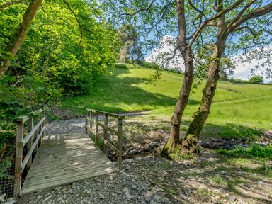 A wooden footbridge over a small stream with green grass and trees in the background at Distyll in Llanfwrog near Ruthin