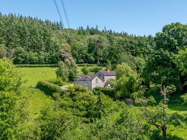 A stone house surrounded by trees and grassland with sheep grazing near Distyll in Llanfwrog near Ruthin