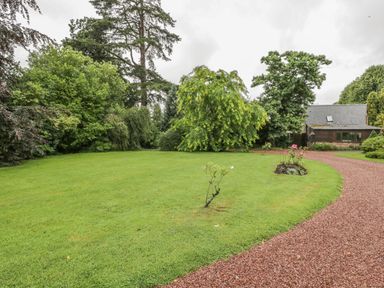 A garden with a gravel path shrubs and trees surrounding a lawn at Pembridge Cottage in Welsh Newton
