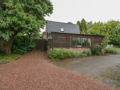 A driveway with gravel and a small wooden building with windows surrounded by trees and bushes at Pembridge Cottage in Welsh Newton