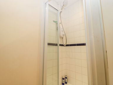 A tiled shower area with a glass door a white electric shower and two bottles on the floor at Colly Cottage in Dottery
