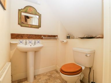 A bathroom with a pedestal sink and toilet with a wooden seat and a decorative mirror at Colly Cottage in Dottery