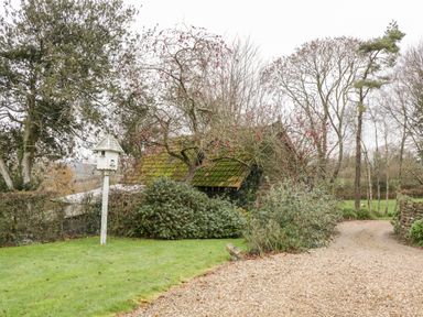 A gravel driveway leading to a small moss-covered building surrounded by shrubs and trees with berries at Colly Cottage in Dottery