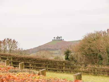 A rural landscape with a wooden fence and deciduous trees with a hill and cluster of trees in the background at Colly Cottage in Dottery