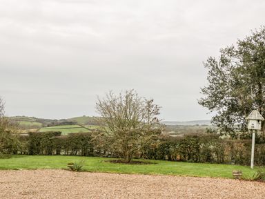 A garden with grass and a gravel area with trees and bushes in the background at Colly Cottage in Dottery