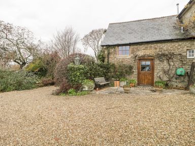 A stone house with a wooden door and window a green hose reel outdoor bench plants and a gravel driveway at Colly Cottage in Dottery